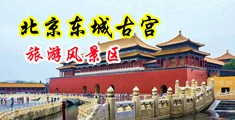 舔老外的骚逼淫水阴蒂白带中国北京-东城古宫旅游风景区